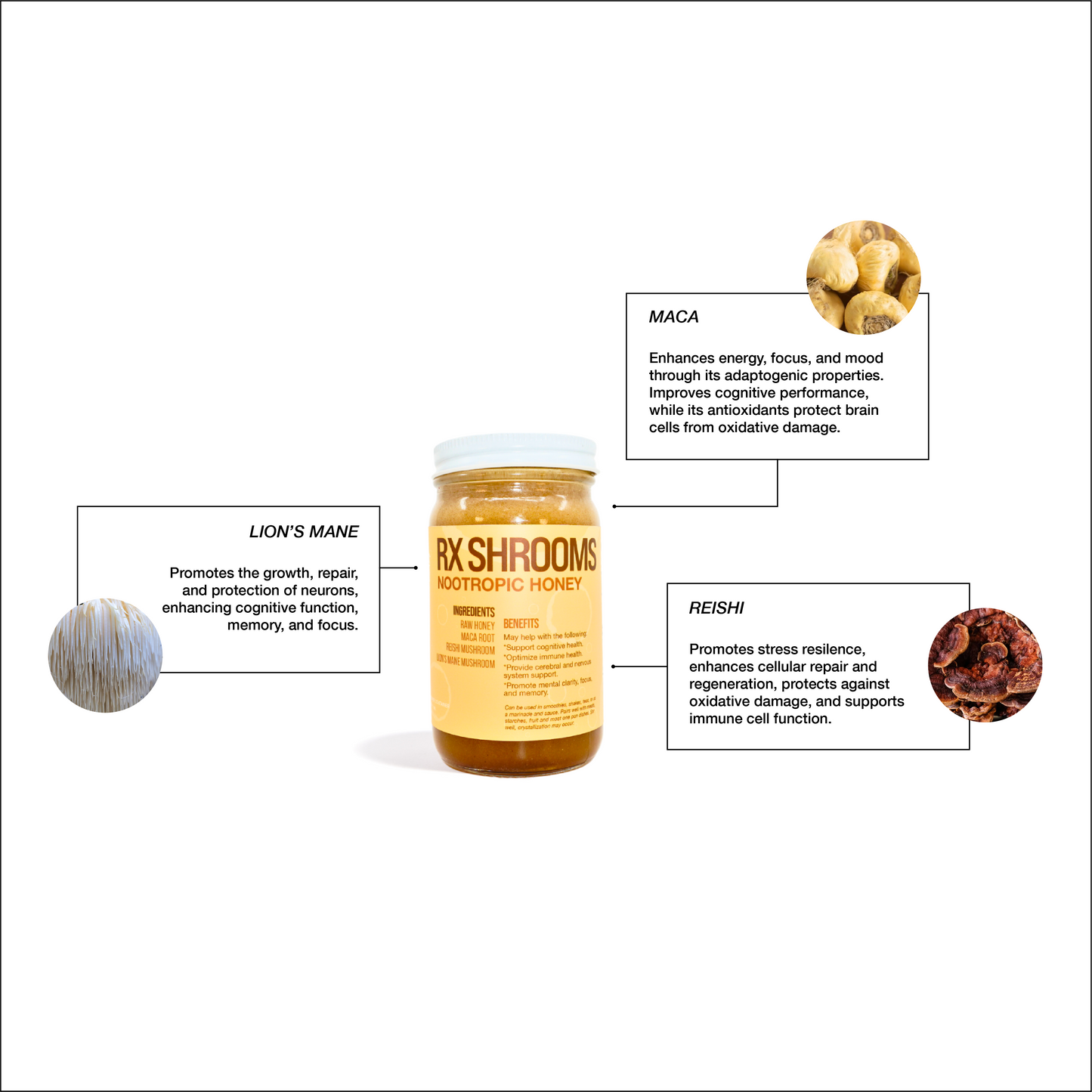 RX SHROOMS – NOOTROPIC HONEY